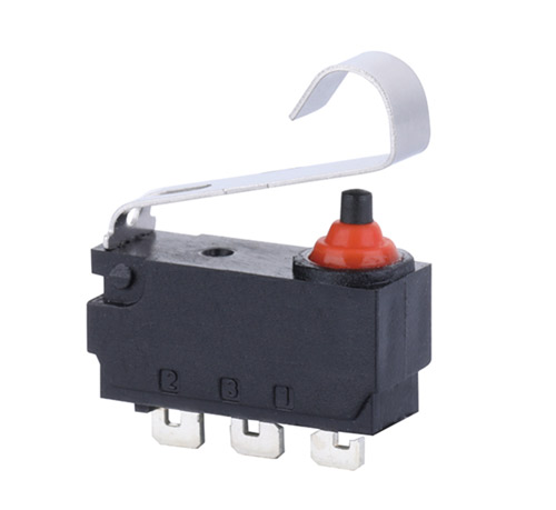 Automobile waterproof micro switch